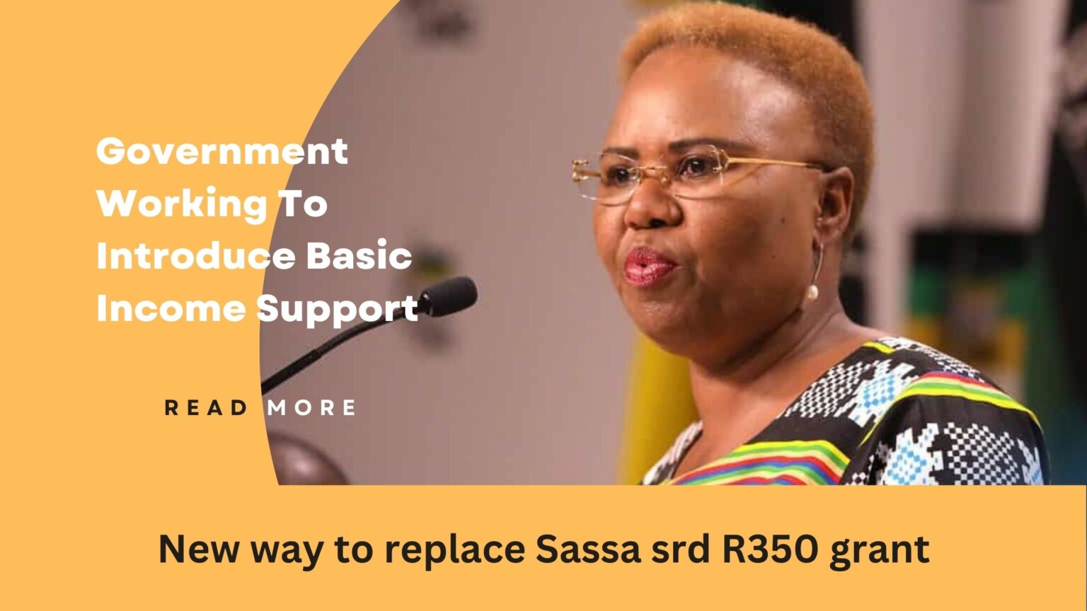 government-working-to-introduce-basic-incomesupport-sassa-news